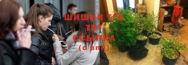 таблы Богородск