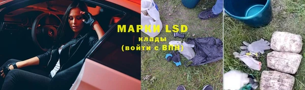 ГАЛЛЮЦИНОГЕННЫЕ ГРИБЫ Богданович