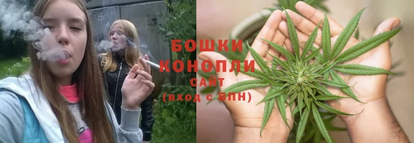 ГАЛЛЮЦИНОГЕННЫЕ ГРИБЫ Богданович