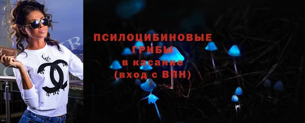 ГАЛЛЮЦИНОГЕННЫЕ ГРИБЫ Богданович