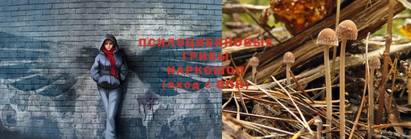 MDMA Богородицк
