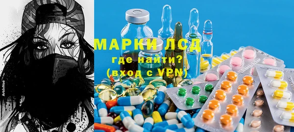 ГАЛЛЮЦИНОГЕННЫЕ ГРИБЫ Богданович