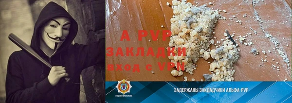 ГАЛЛЮЦИНОГЕННЫЕ ГРИБЫ Богданович