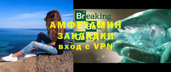 ГАЛЛЮЦИНОГЕННЫЕ ГРИБЫ Богданович
