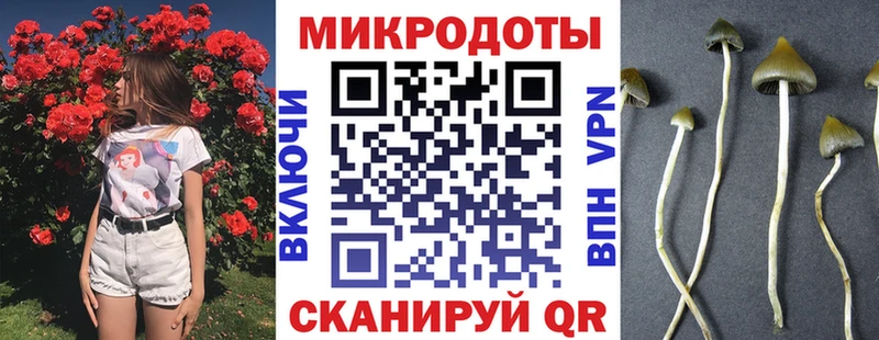 Галлюциногенные грибы прущие грибы Великий Устюг